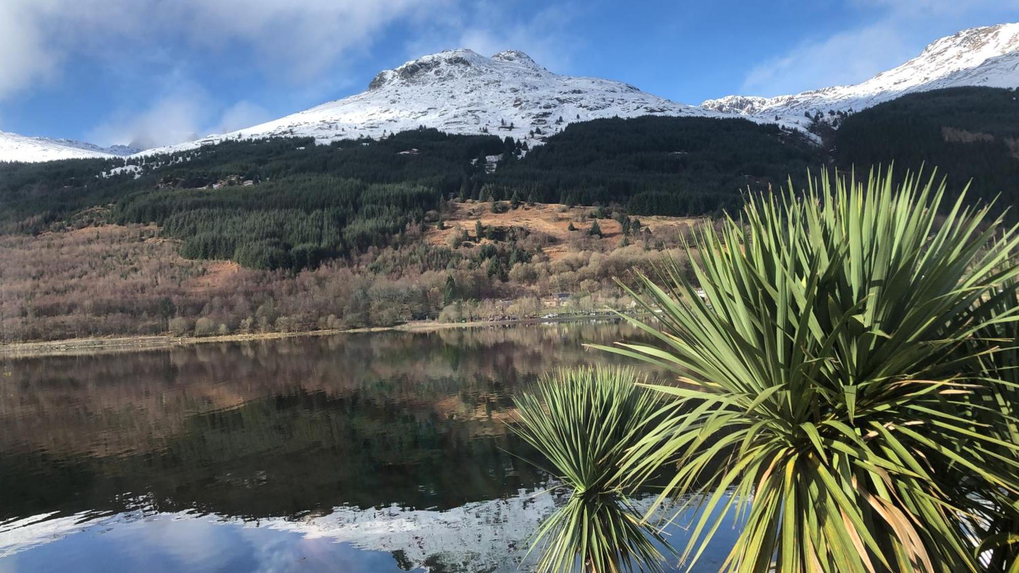 Heron's View Arrochar