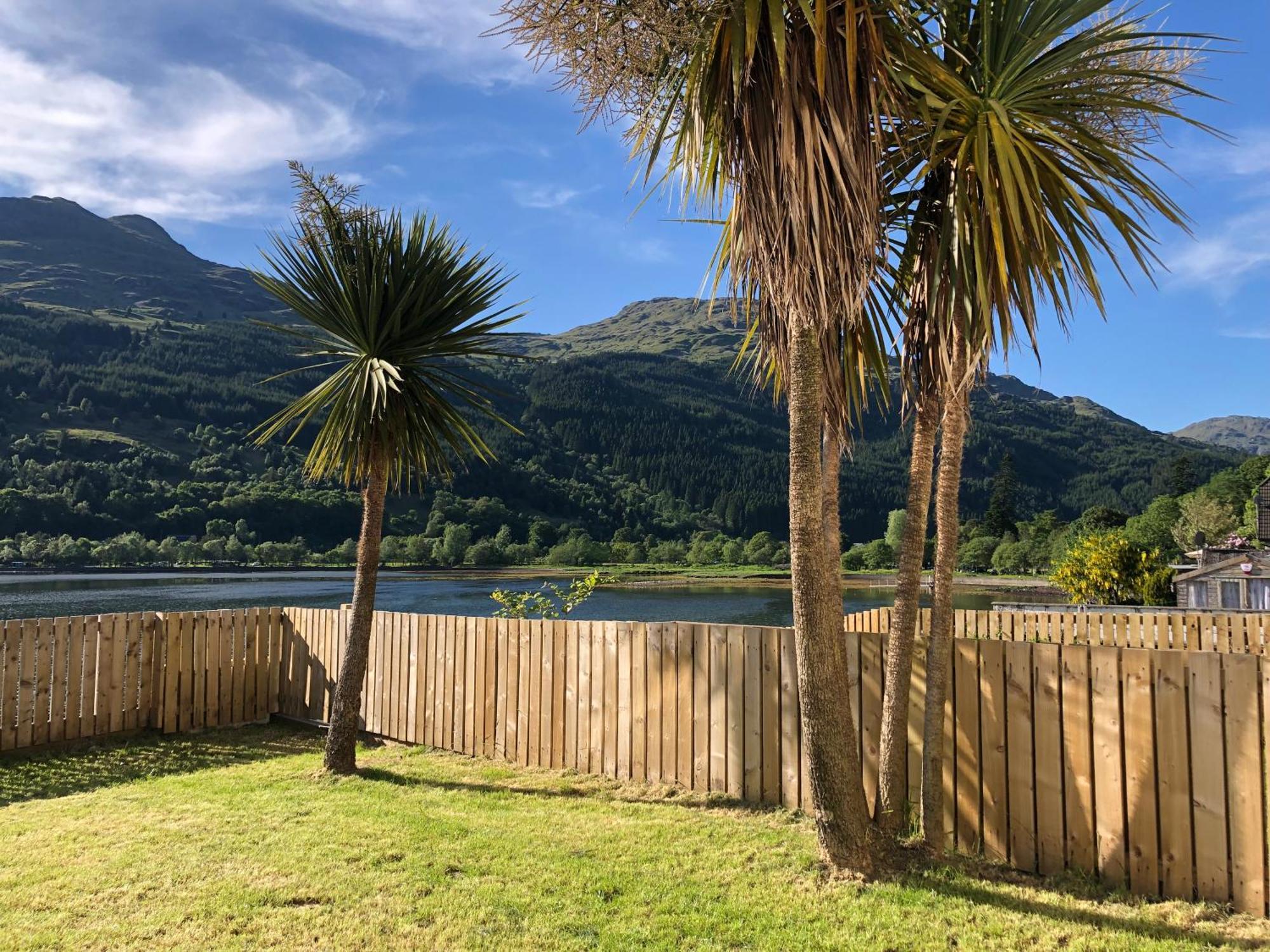 Heron's View * Arrochar