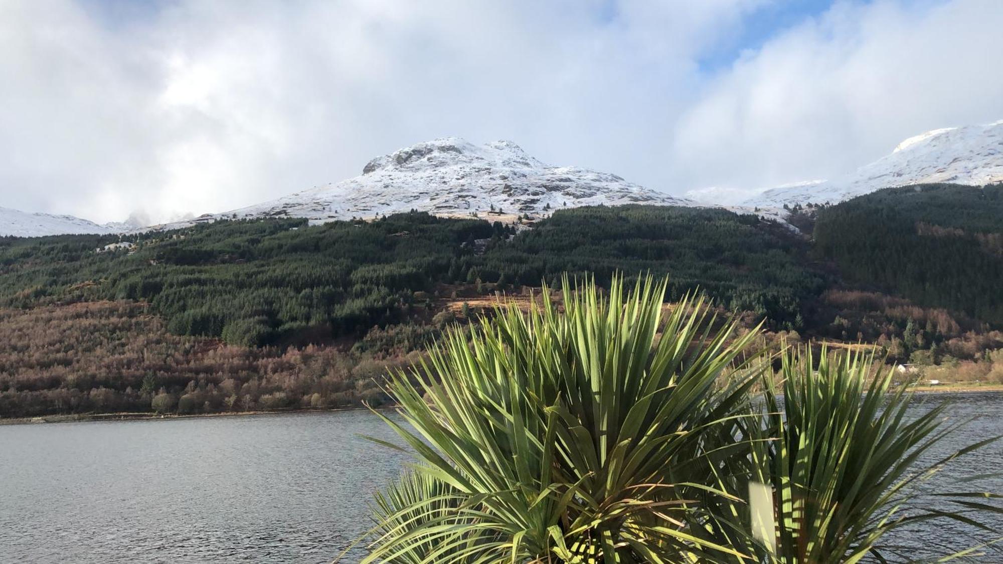 Heron's View Arrochar